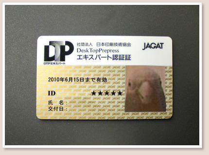 ジュウシマツ