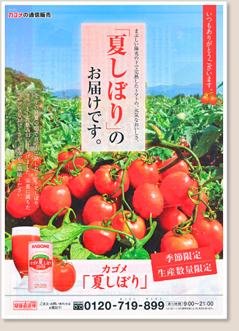 夏しぼり
