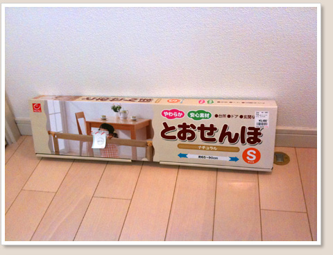 とおせんぼ