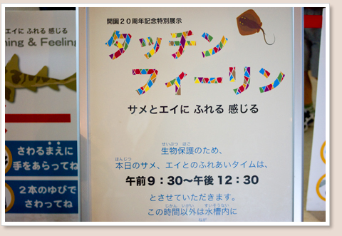 記念特別展示