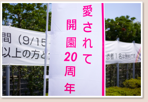 20周年