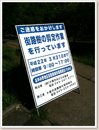 街路樹の剪定作業中