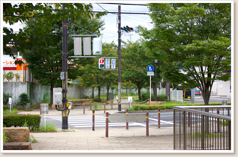 唯一の車道