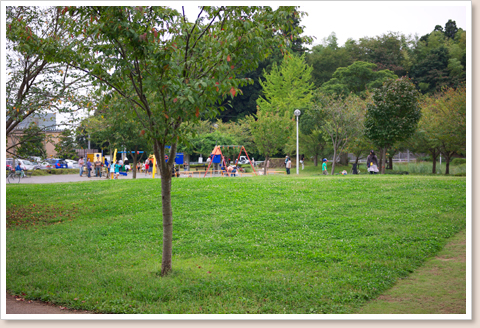 隣接の公園