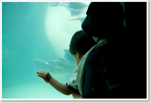 海獣大好き