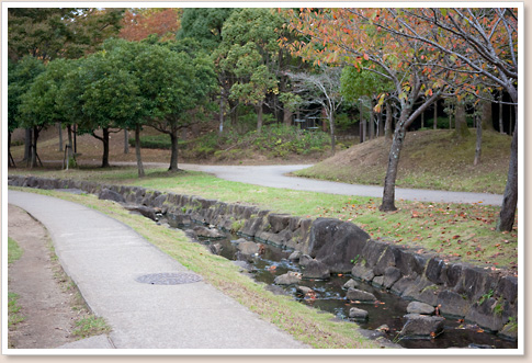 奥が公園