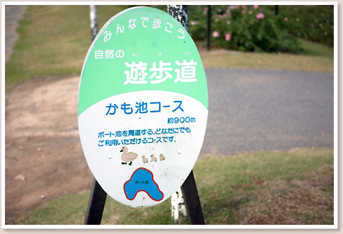 遊歩道