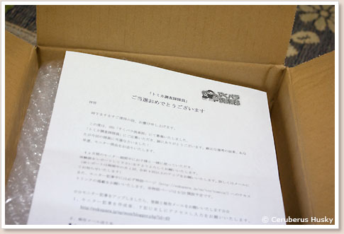トミカ調査隊