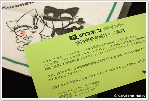 ハズレ