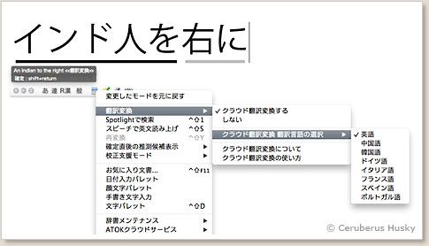 八ヶ国対応