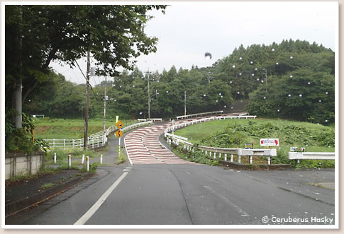 ウエット路面