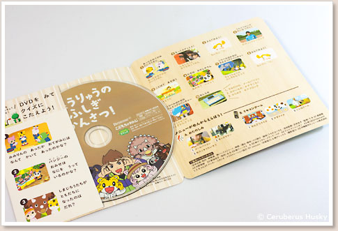 DVD