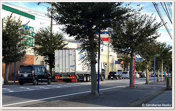 渋滞