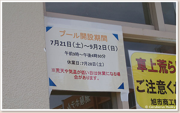プール開設期間