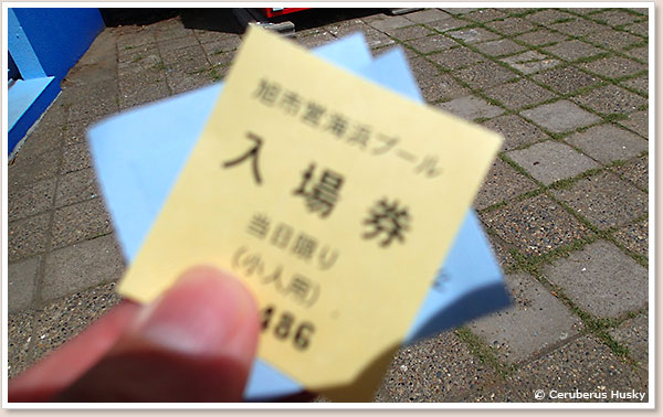 入場券
