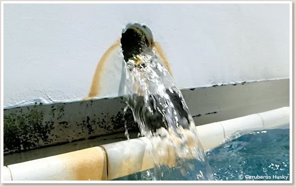冷たい水