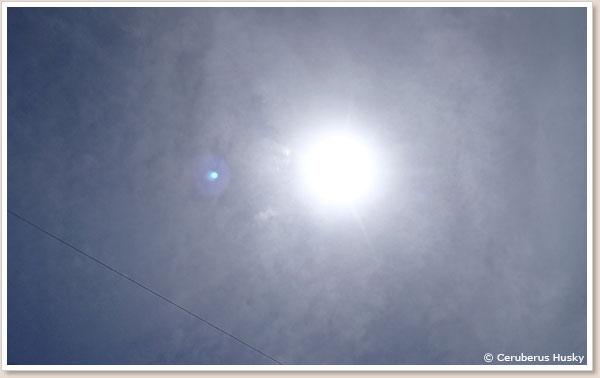 海沿いの太陽