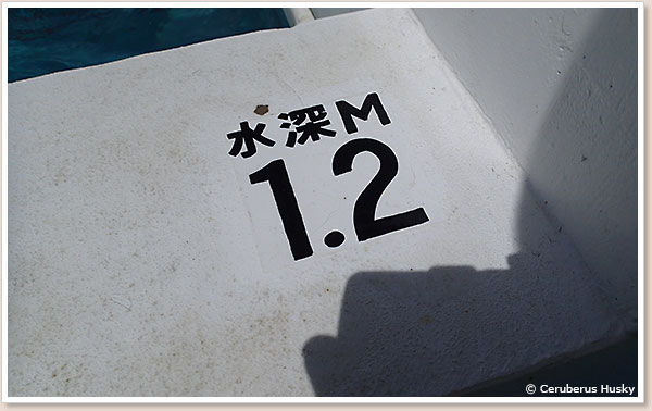 水深1.2m