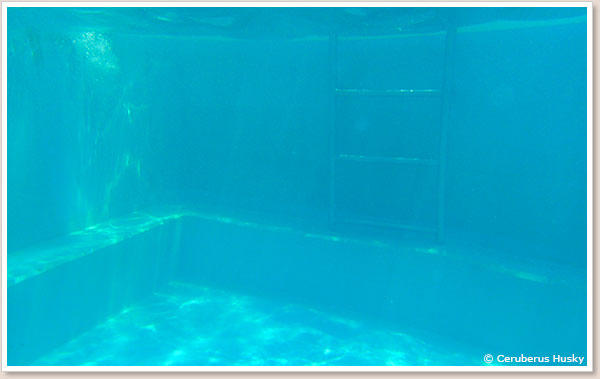 水中