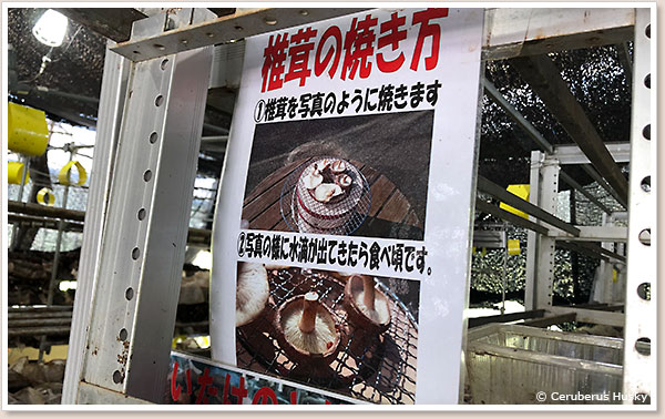 しいたけの焼き方