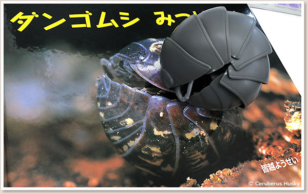 比較