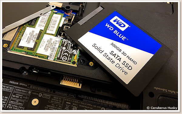 WDのSSD