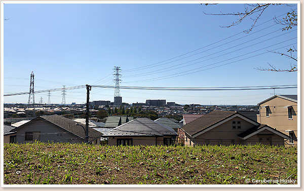 見晴らし良し