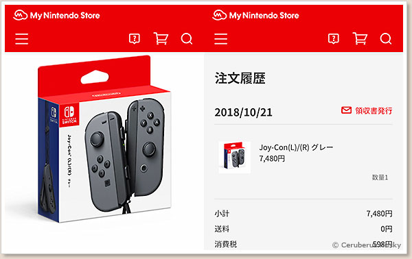 任天堂ストアで購入