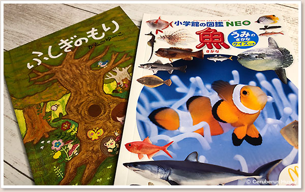 図鑑と絵本