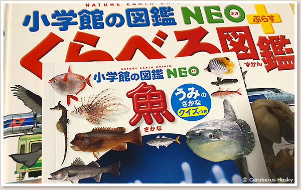 本物と比較
