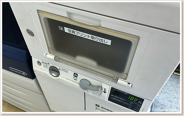 写真はここから