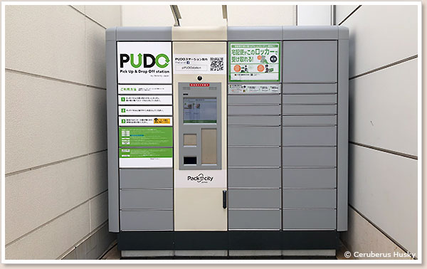 PUDO