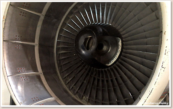 ボーイング747のエンジン:インテーク側
