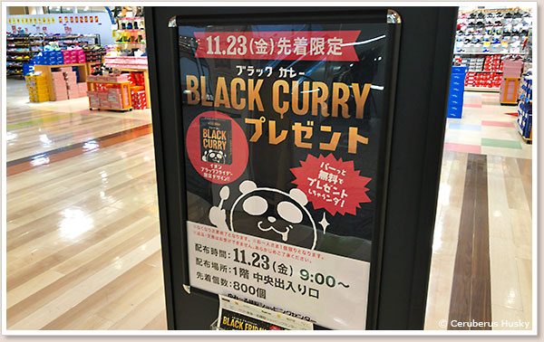 イオンのブラックフライデー