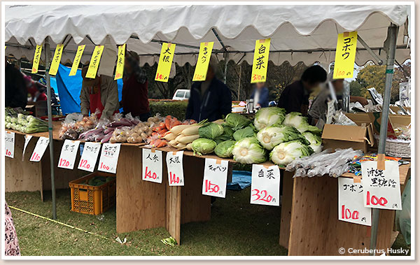 野菜