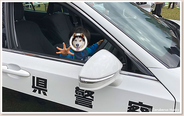 クラウンのパトカー
