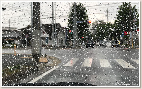 撥水コート施工