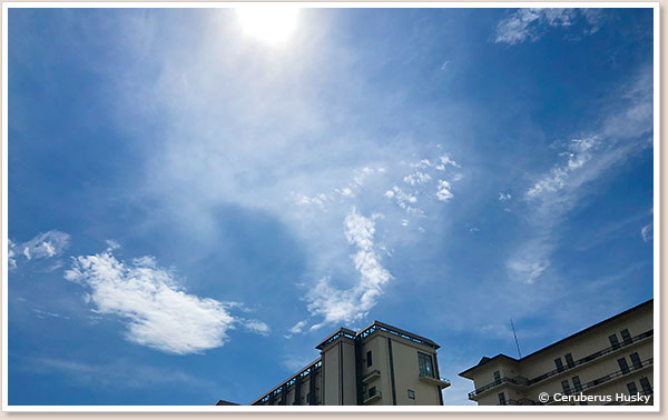 大雨の予報でしたが晴れました