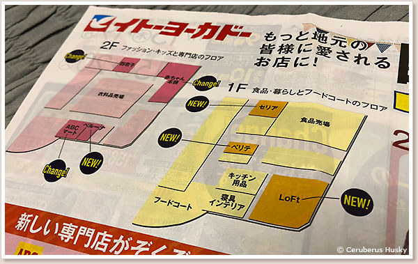 リニューアル＆新規オープンした店舗