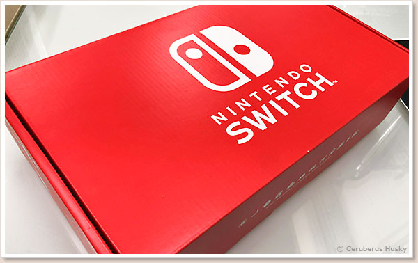 マイニンテンドーストアで買ったのでパッケージが違います