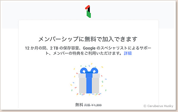 2TBが1年間無料