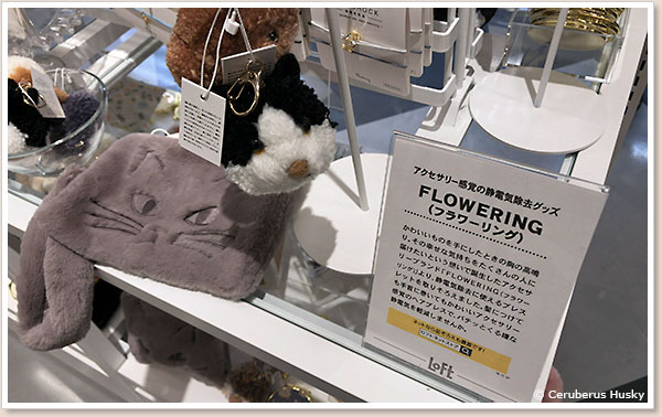 これからの季節に良さそうです FLOWERING