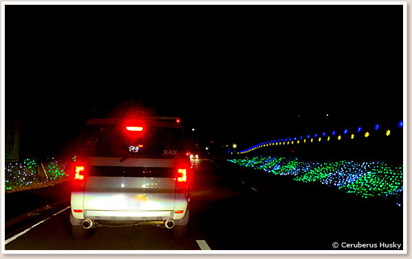 帰りのプチ渋滞