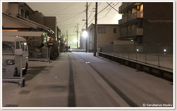 会社から帰る時は積もり始めていました