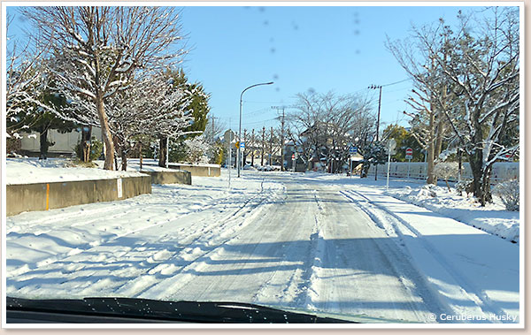 まだまだ雪が残っています