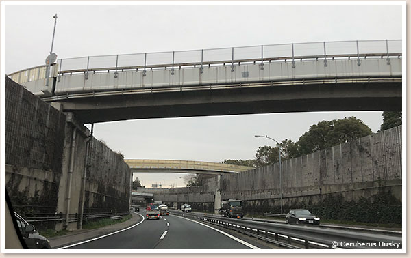 高速道路