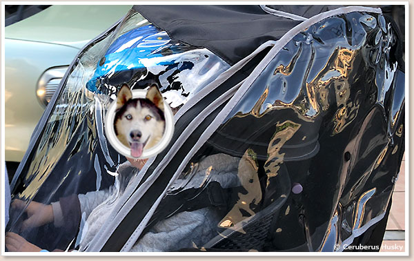 自転車でお出かけ