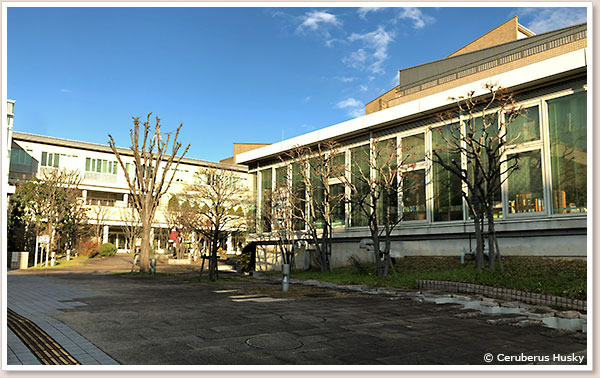 日中の様子