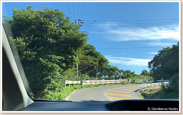 アップダウンときついコーナーが連続する峠道