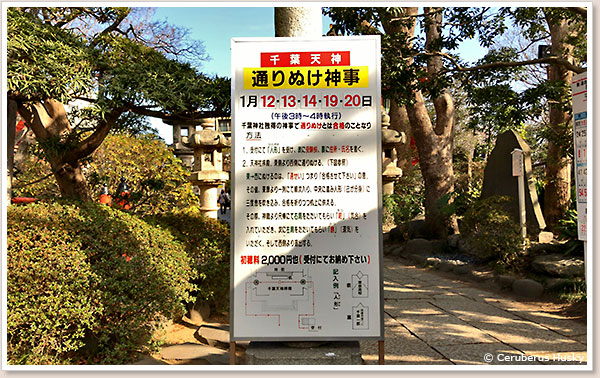 通り抜け神事